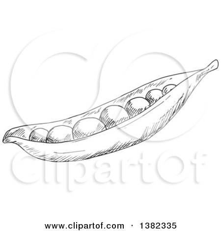 Clipart of a Dark Gray Sketched Pea Pod - Royalty Free Vector Illustration by Vector Tradition SM