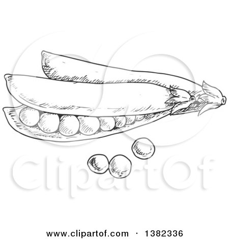 Clipart of Dark Gray Sketched Pea Pods - Royalty Free Vector Illustration by Vector Tradition SM