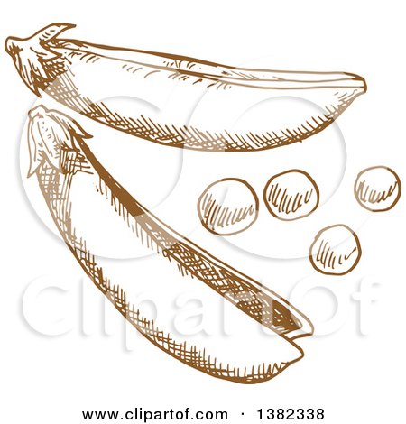 Clipart of Brown Sketched Pea Pod - Royalty Free Vector Illustration by Vector Tradition SM