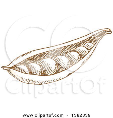 Clipart of a Brown Sketched Pea Pod - Royalty Free Vector Illustration by Vector Tradition SM