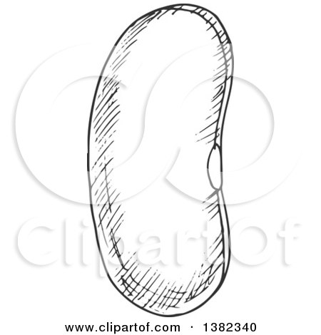 Clipart of a Gray Sketched Kidney Bean - Royalty Free Vector Illustration by Vector Tradition SM