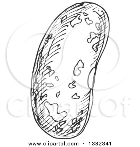 Clipart of a Black and White Sketched Kidney Bean - Royalty Free Vector Illustration by Vector Tradition SM
