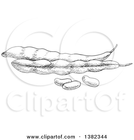 Clipart of Black and White Sketched Beans and Pods - Royalty Free Vector Illustration by Vector Tradition SM