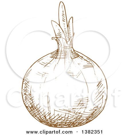 Clipart of a Brown Sketched Onion - Royalty Free Vector Illustration by Vector Tradition SM