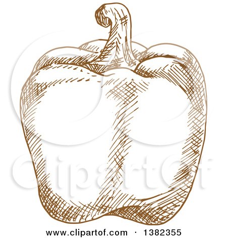 Clipart of a Brown Sketched Bell Pepper - Royalty Free Vector Illustration by Vector Tradition SM