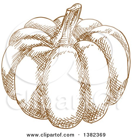 Clipart of a Brown Sketched Pumpkin| Royalty Free Vector Illustration by Vector Tradition SM