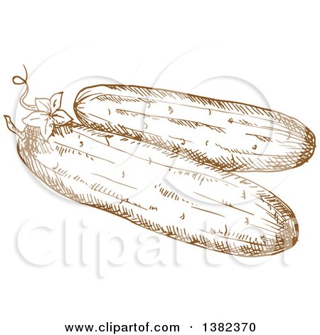Clipart of Brown Sketched Cucumbers - Royalty Free Vector Illustration by Vector Tradition SM