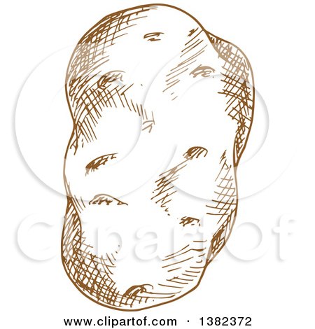 Clipart of a Brown Sketched Potato - Royalty Free Vector Illustration by Vector Tradition SM