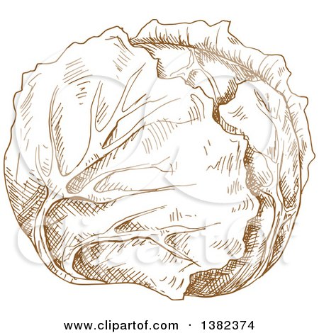 Clipart of a Brown Sketched Cabbage - Royalty Free Vector Illustration by Vector Tradition SM