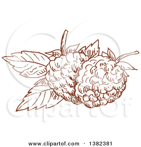 Clipart of Brown Sketched Blackberries or Raspberries - Royalty Free Vector Illustration by Vector Tradition SM