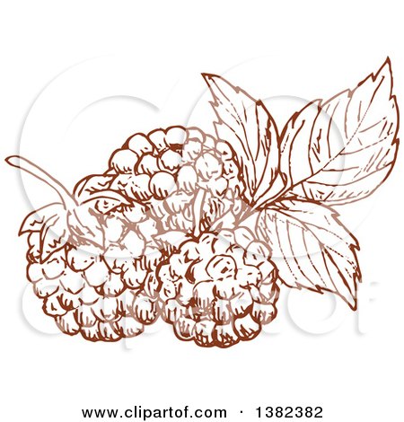 Clipart of Brown Sketched Blackberries or Raspberries - Royalty Free Vector Illustration by Vector Tradition SM