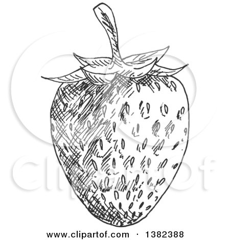 Clipart of a Black and White Sketched Strawberry - Royalty Free Vector Illustration by Vector Tradition SM