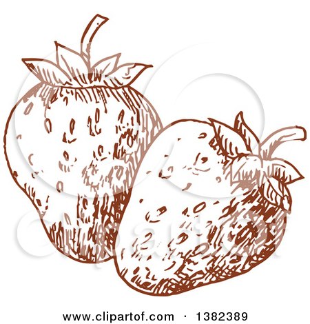 Clipart of Brown Sketched Strawberries - Royalty Free Vector Illustration by Vector Tradition SM