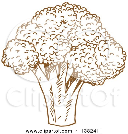 Clipart of Brown Sketched Broccoli - Royalty Free Vector Illustration by Vector Tradition SM
