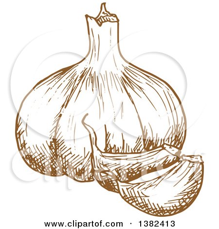 Clipart of a Brown Sketched Garlic Bulb - Royalty Free Vector Illustration by Vector Tradition SM