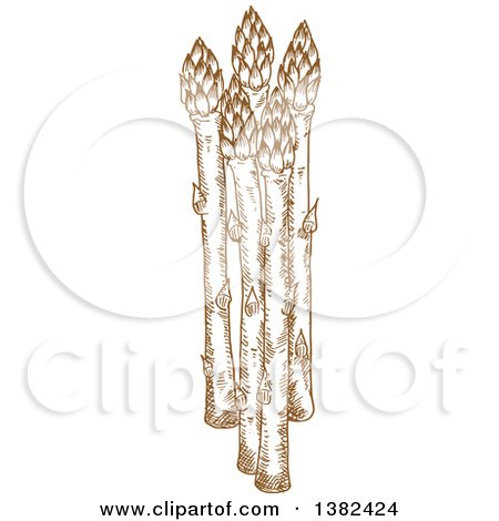 Clipart of Brown Sketched Asparagus - Royalty Free Vector Illustration by Vector Tradition SM