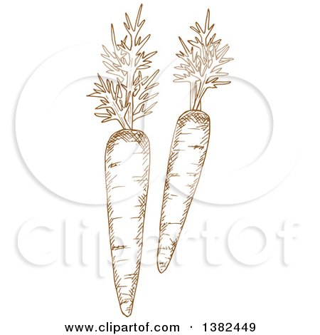 Clipart of Brown Sketched Carrots - Royalty Free Vector Illustration by Vector Tradition SM