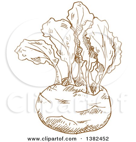 Clipart of a Brown Sketched Kohlrabi - Royalty Free Vector Illustration by Vector Tradition SM