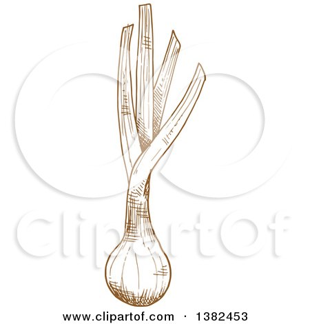 Clipart of a Brown Sketched Leek - Royalty Free Vector Illustration by Vector Tradition SM