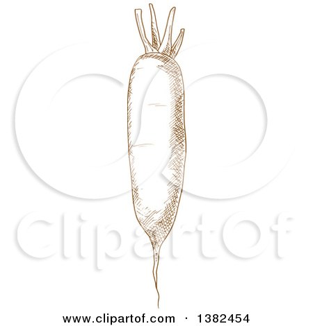 Clipart of a Brown Sketched Daikon Radish - Royalty Free Vector Illustration by Vector Tradition SM