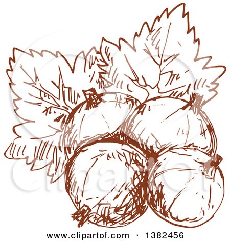 Clipart of Brown Sketched Gooseberries - Royalty Free Vector Illustration by Vector Tradition SM