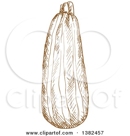 Clipart of a Brown Sketched Zucchini - Royalty Free Vector Illustration by Vector Tradition SM