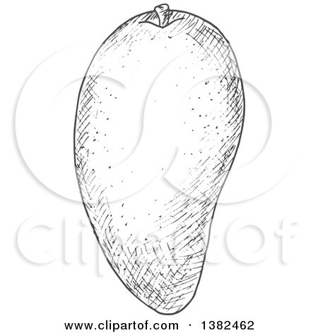 Clipart of a Gray Sketched Mango - Royalty Free Vector Illustration by Vector Tradition SM