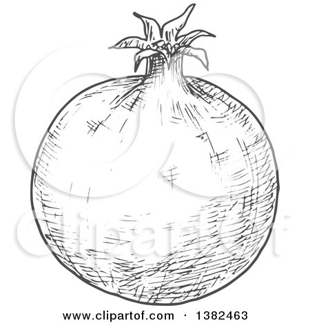 Clipart of a Gray Sketched Pomegranate - Royalty Free Vector Illustration by Vector Tradition SM