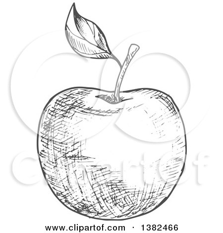 Clipart of a Gray Sketched Apple - Royalty Free Vector Illustration by Vector Tradition SM