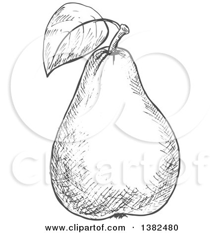 Clipart of a Gray Sketched Pear - Royalty Free Vector Illustration by Vector Tradition SM