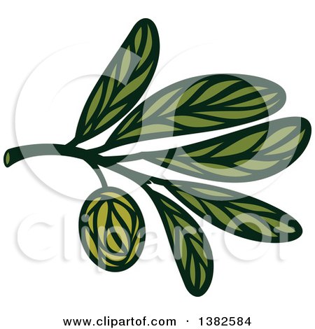 Clipart of a Green Olive Design - Royalty Free Vector Illustration by elena