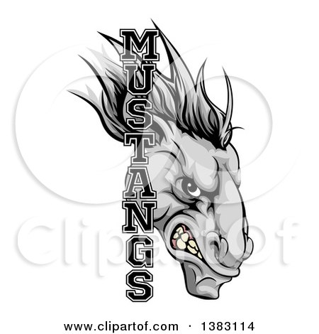 Clipart of a Snarling Gray Mustang Horse Mascot with Text - Royalty Free Vector Illustration by AtStockIllustration