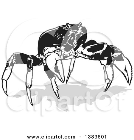 Clipart of a Black and White Crab with a Shadow - Royalty Free Vector Illustration by dero