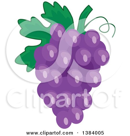 Clipart of a Bunch of Purple Grapes - Royalty Free Vector Illustration by BNP Design Studio