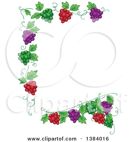Clipart of a Green, Red and Purple Grape Vine Border - Royalty Free Vector Illustration by BNP Design Studio
