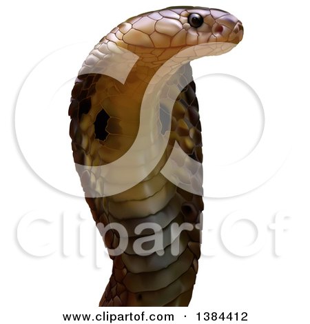 Clipart of a 3d Cobra Snake - Royalty Free Vector Illustration by dero