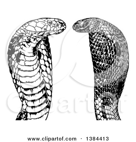Clipart of Black and White Cobra Snakes - Royalty Free Vector Illustration by dero