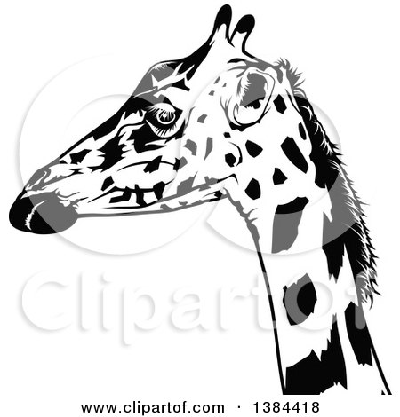 Clipart of a Black and White Giraffe - Royalty Free Vector Illustration by dero