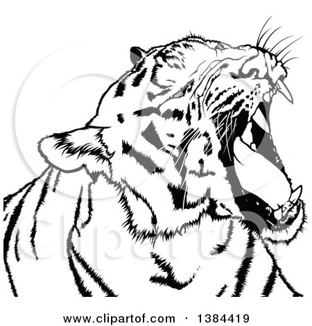 Clipart of a Black and White Yawning Tiger - Royalty Free Vector Illustration by dero