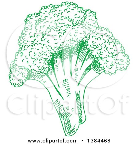 Clipart of a Sketched Green Broccoli Head - Royalty Free Vector Illustration by Vector Tradition SM