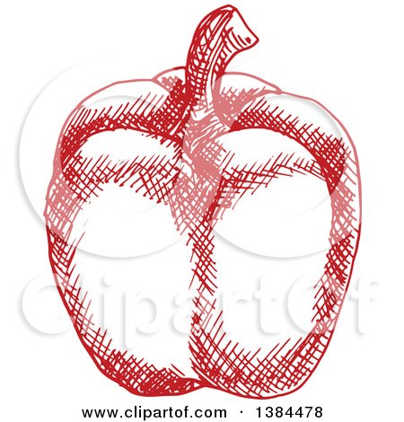 Clipart of a Sketched Red Bell Pepper - Royalty Free Vector Illustration by Vector Tradition SM
