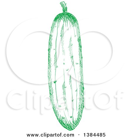 Clipart of a Sketched Green Cucumber - Royalty Free Vector Illustration by Vector Tradition SM