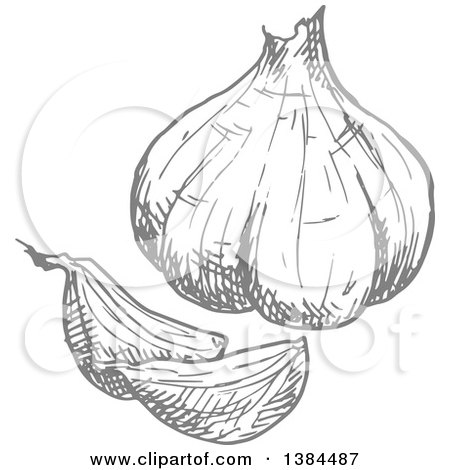 Clipart of a Sketched Gray Garlic Bulb - Royalty Free Vector Illustration by Vector Tradition SM