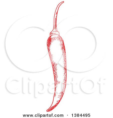 Clipart of a Sketched Red Chili Pepper - Royalty Free Vector Illustration by Vector Tradition SM