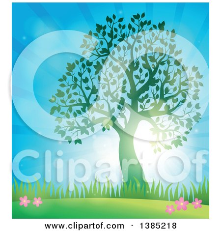 Clipart of a Green Silhouetted Tree Leafing out in a Spring Landscape, with Sunshine - Royalty Free Vector Illustration by visekart