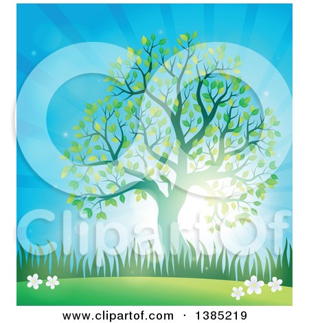 Clipart of a Green Silhouetted Tree Leafing out in a Spring Time Landscape, with Sunshine - Royalty Free Vector Illustration by visekart