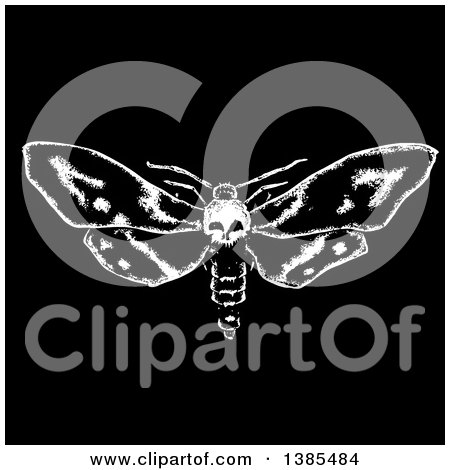 Clipart of a Black and White Moth with a Skull Head on Black - Royalty Free Vector Illustration by lineartestpilot