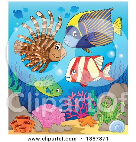Clipart of Saltwater Marine Fish at a Reef - Royalty Free Vector Illustration by visekart