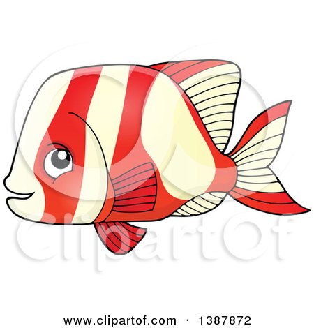 Clipart of a Red and White Striped Saltwater Marine Fish - Royalty Free Vector Illustration by visekart