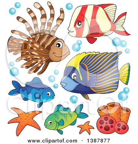 Clipart of Saltwater Marine Fish - Royalty Free Vector Illustration by visekart